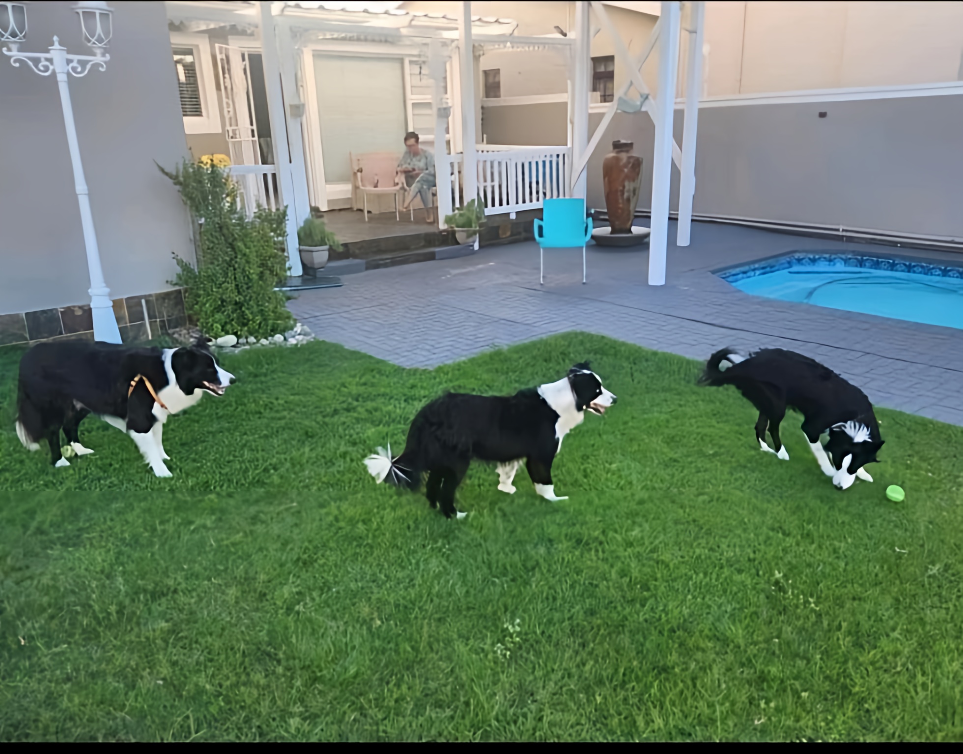 Dierevriendelike privaat swembad strandhuis Surf n Sea Jeffreysbaai
